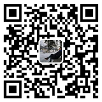 荣耀体育在线手机版（大中国区）